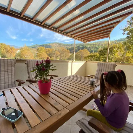 Luxury Park * Szandanszki